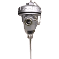 Kobold Resistance Thermometer with Transmitter, MWD